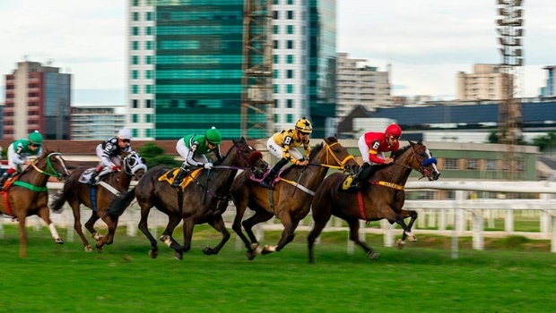 Vereadores de SP aprovam proibição de corrida de cavalo com apostas