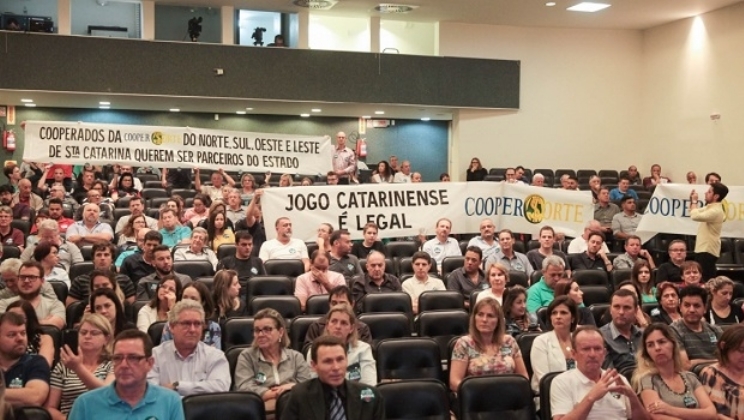 Site de apostas pela internet será lançado em Santa Catarina