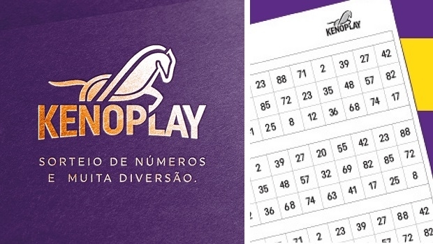 Três casas de apostas são inauguradas em Porto Alegre e Passo Fundo