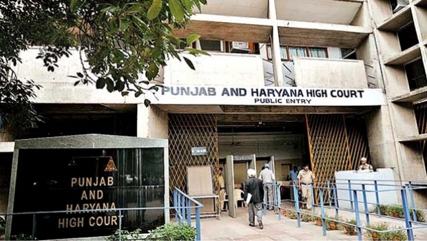 Esportes de fantasia diários é considerado jogo de habilidade na Índia