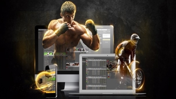 Golden Race comemora um emocionante 2018 nas Américas