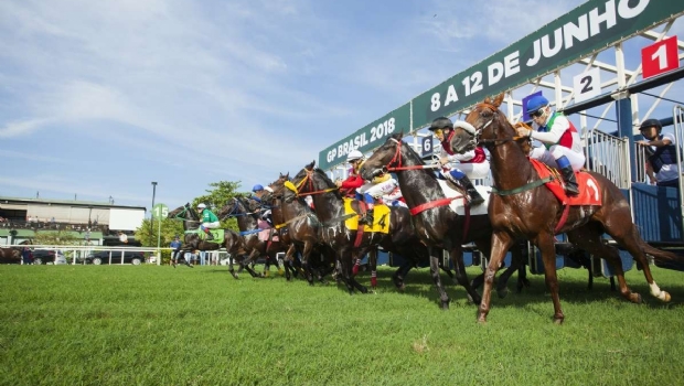 Turfe registra crescimento de arrecadação no país