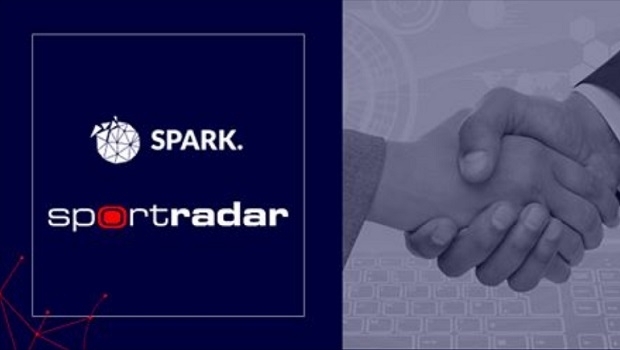 Spark faz parceria com Sportradar