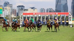 The equestrian industry in Brazil