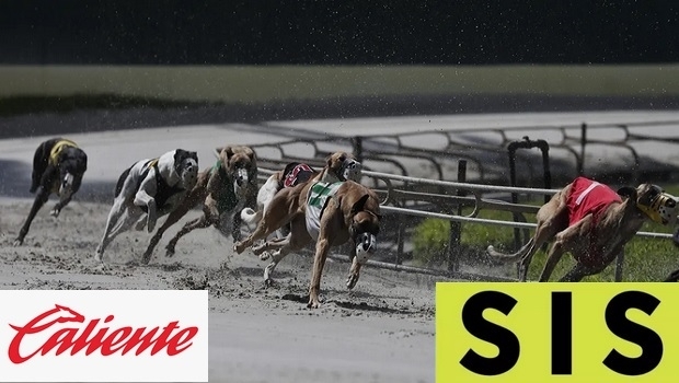 SIS expande sua força latino-americana em parceria com a Caliente