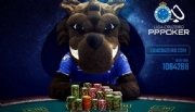 Cruzeiro fecha parceria com chinesa PPPoker e vai criar uma liga exclusiva