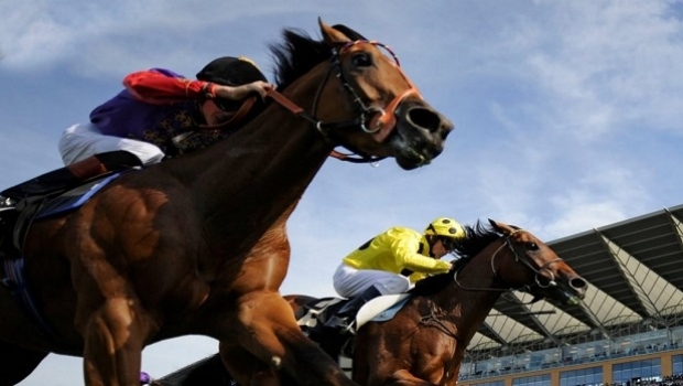 Ministério da Agricultura publica portaria para proteger cavalos de corridas