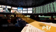 Pay4fun explica os 4 princípios das odds nas apostas esportivas