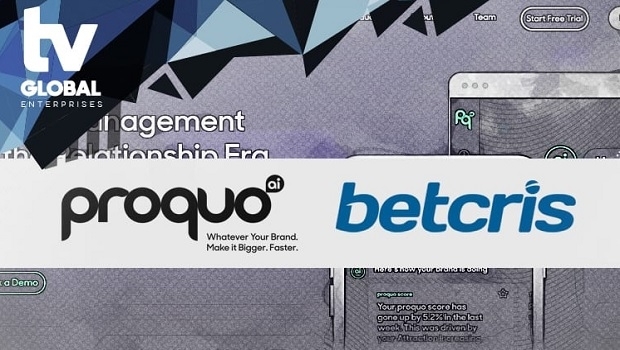 New management firm hired to develop actionable brand guidance for Betcris