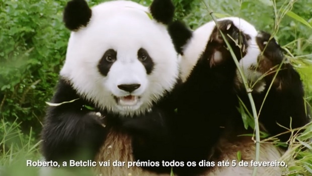 Pandas falando em português na nova campanha da Betclic