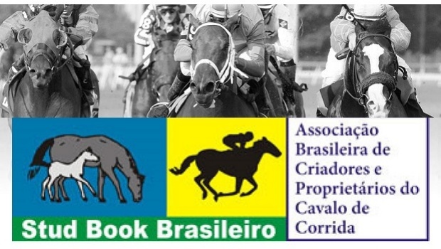 Main Jockeys Clubs in Brazil and ABCPCC gather to strengthen activity in the country