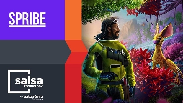 Salsa Technology secures Spribe content deal