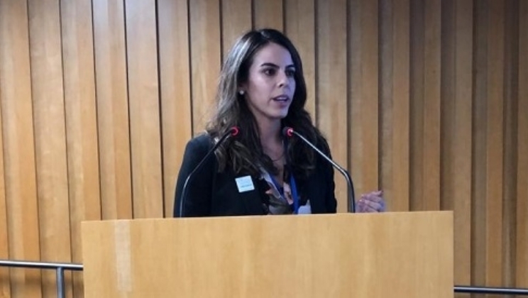 O mundo também analisa o sistema de concessão escolhido pelo Brasil para as apostas esportivas (I)