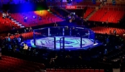 Cancelamento de eventos por coronavírus aumentou as apostas no UFC Fight Night Brasilia