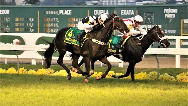 Em atividade, comunidade do turfe apoia páreos em SP e reabertura do Jockey no Rio