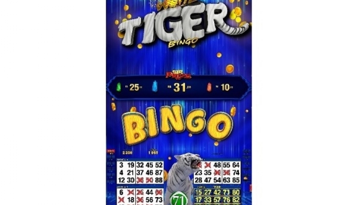 “A divisão Interactive da Ortiz Gaming teve um crescimento exponencial com Triple Mobi”