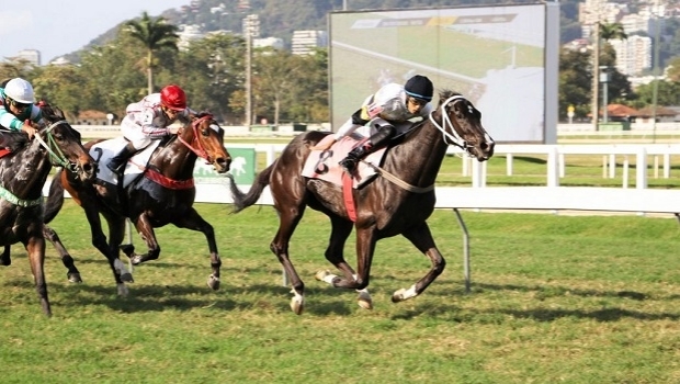 Gávea reabriu sua loja de apostas e o MGA ultrapassou a barreira dos R$ 800 mil