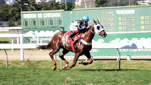 Movimento Geral de Apostas no Hipódromo da Gávea se estabiliza em R$ 700 mil