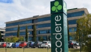 Codere Online reporta crescimento substancial na América Latina no segundo trimestre