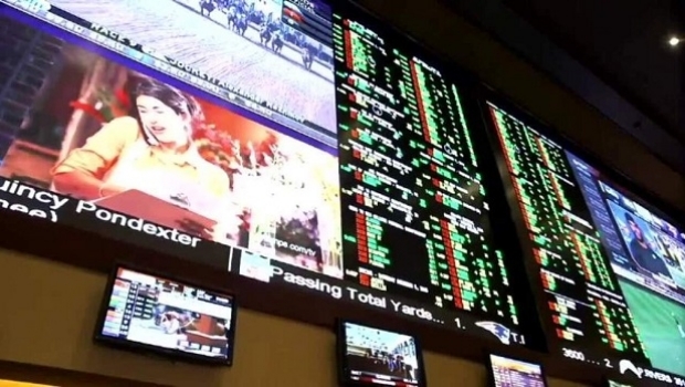 Judge ruling puts halt to Seminole sports betting in Florida