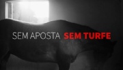 Criadores e proprietários de cavalos lançam campanha “Sem aposta, sem turfe”