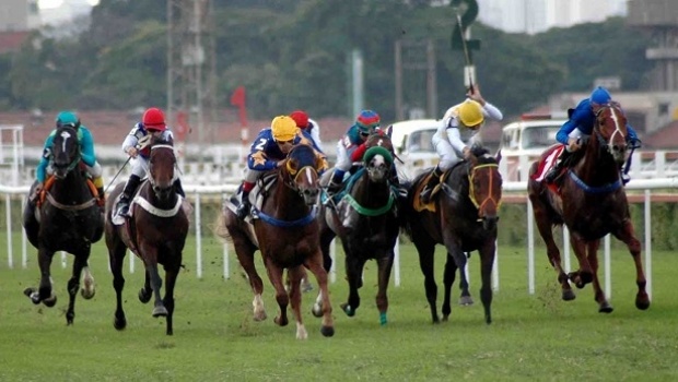 Ministério da Agricultura autoriza Jockeys Clubs a promoverem apostas em cavalos
