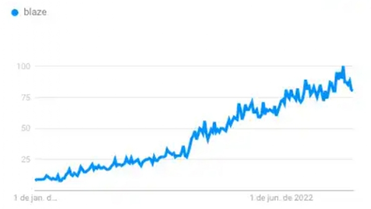 Bet365 lidera o ranking de sites de apostas mais procurados pelos brasileiros no Google