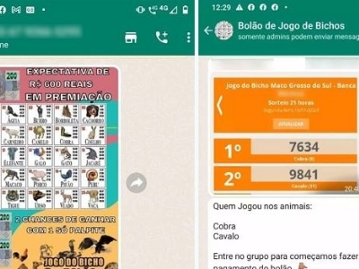 Jogo do Bicho 'cota' apostas nos números 13 ou 22 por causa das eleições  para presidente - ﻿Games Magazine Brasil