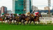 Vereadores de SP aprovam proibição de corrida de cavalo com apostas