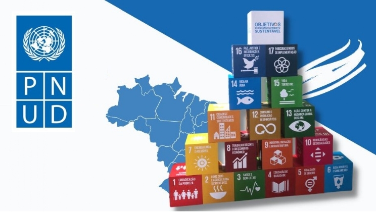 Brasil precisa acelerar regulação das bets para proteger os apostadores, diz órgão da ONU