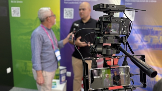 “O Brasil precisa estrangular financeiramente o ilegal para o bem da indústria regulada de iGaming”