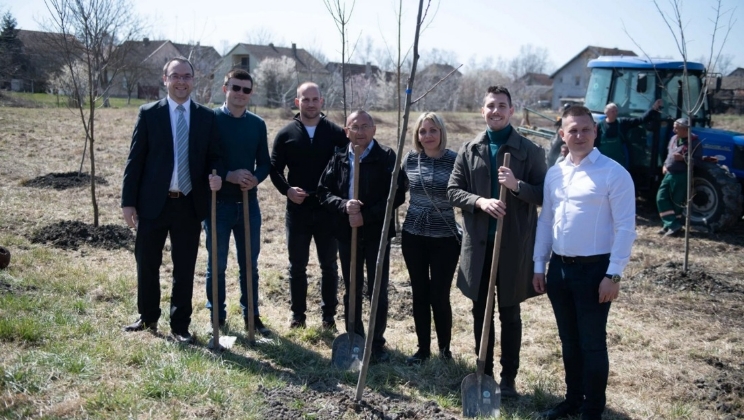 Tecnologia e parcerias estratégicas: entenda a expansão da Meridianbet