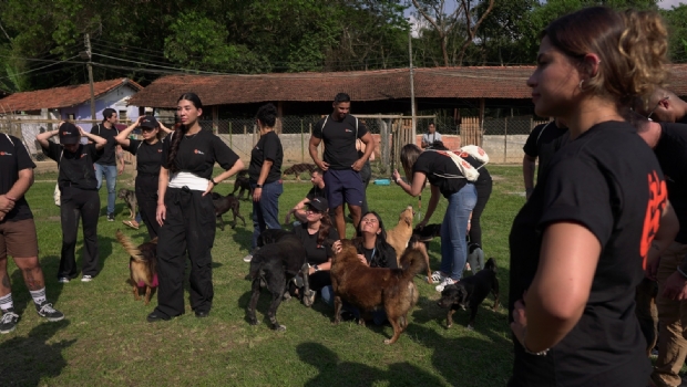 Kaizen/Betano mobilizes 200+ volunteers across Brazil and 7 countries for Animal Welfare