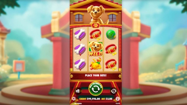 Blaze apresenta novos slots da série “Sortudos” com destaque para o icônico vira-lata caramelo