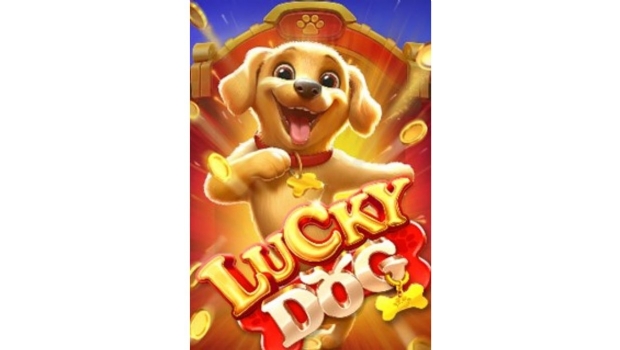 Blaze apresenta novos slots da série “Sortudos” com destaque para o icônico vira-lata caramelo