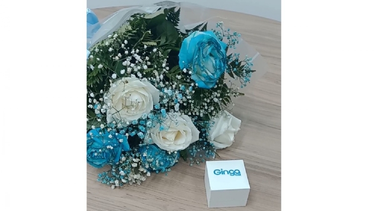 GingaBet promove pedido de casamento durante jogo do seu patrocinado máster Paysandu