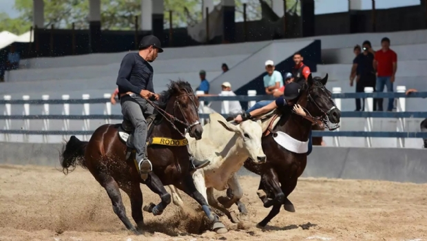‘Bets’ transform rodeos in Brazil’s Northeast and make cowboys gambling influencers